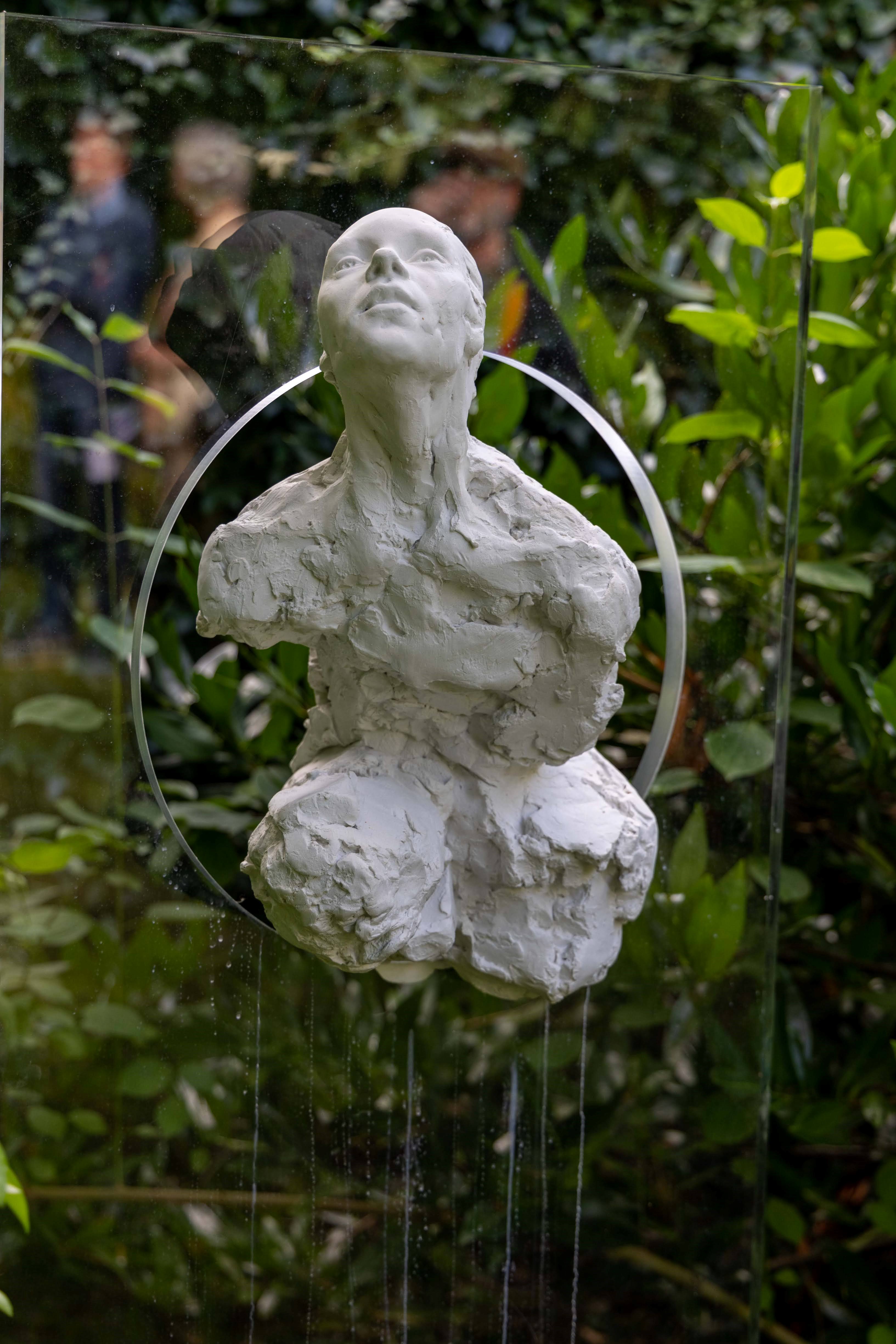 Rising_face_on